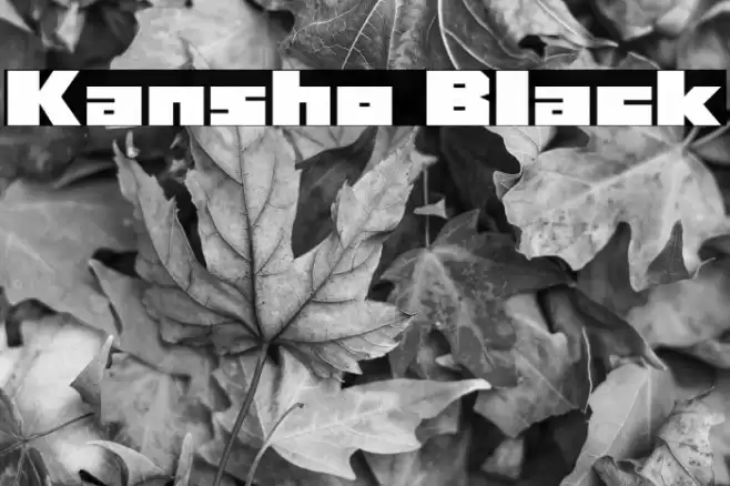 Kansho Black Schriftart examples
