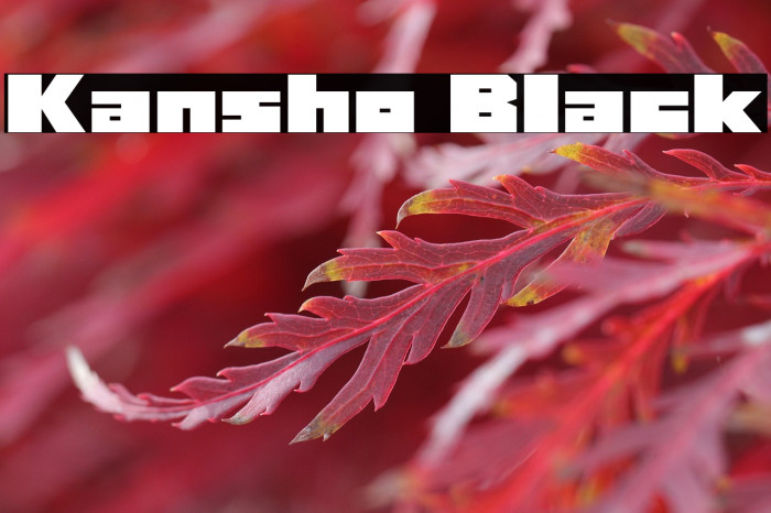 Kansho Black Example 3