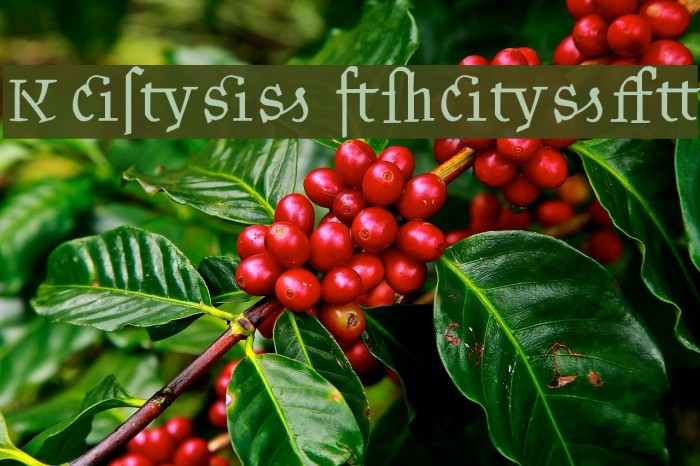 Kantor Ligatures Font examples
