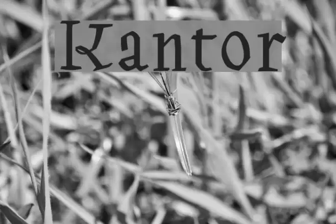 Kantor Schriftart examples