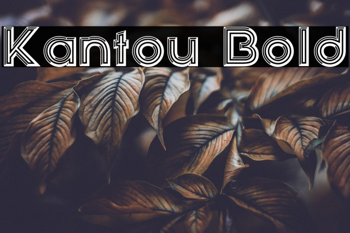 Kantou Bold Example 2