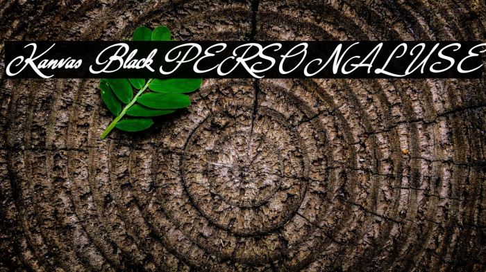 Kanvas Black PERSONAL USE Example 1