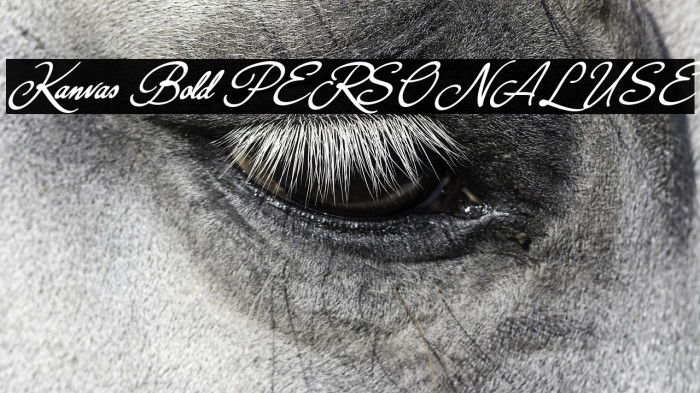 Kanvas Bold PERSONAL USE Example 1