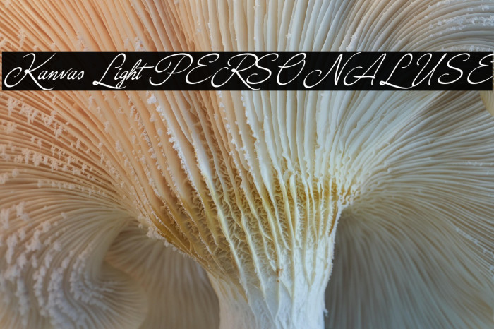 Kanvas Light PERSONAL USE Example 2