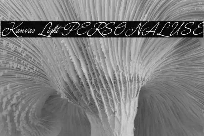 Kanvas Light PERSONAL USE Font examples