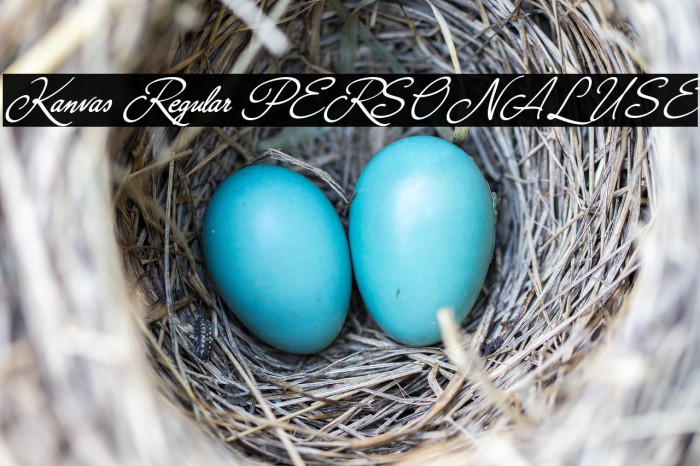 Kanvas Regular PERSONAL USE Example 2