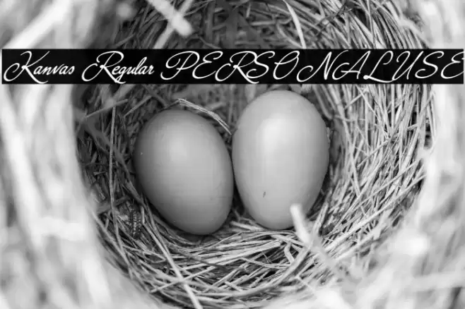 Kanvas Regular PERSONAL USE Font examples