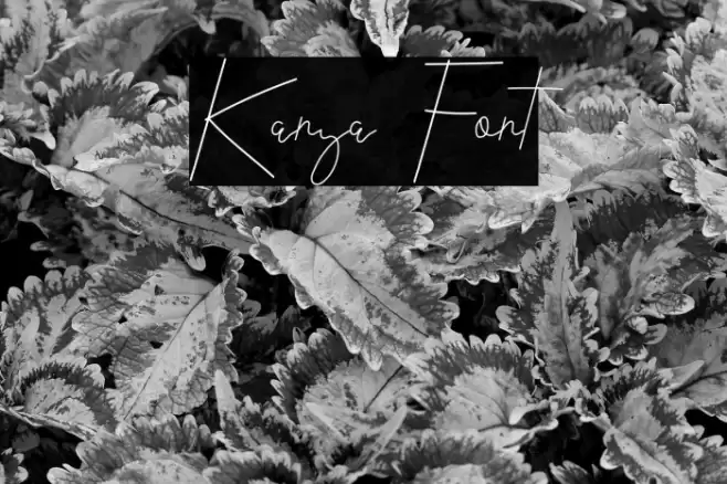 Kanya Font examples