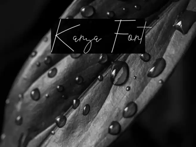 Kanya Font examples