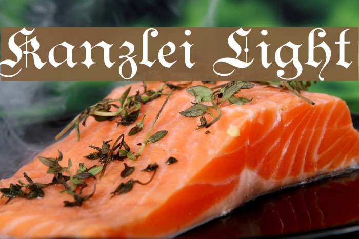 Kanzlei Light Font examples