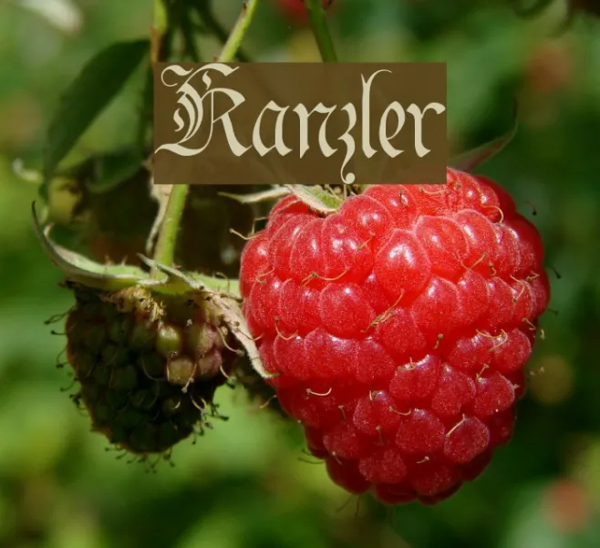 Kanzler Example 2