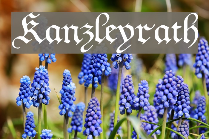 Kanzleyrath Fonte examples