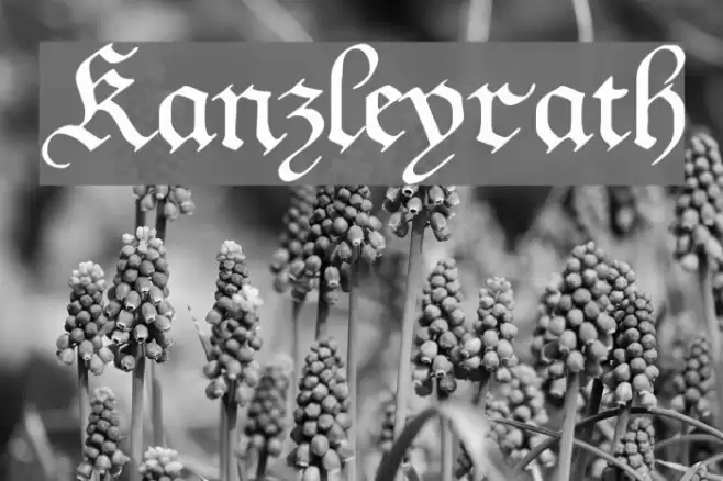 Kanzleyrath Fonte examples