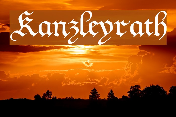 Kanzleyrath Fonte examples