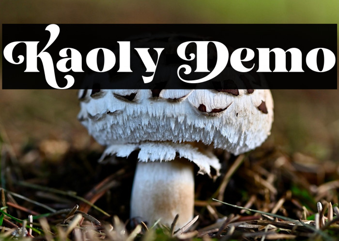 Kaoly Demo Example 1