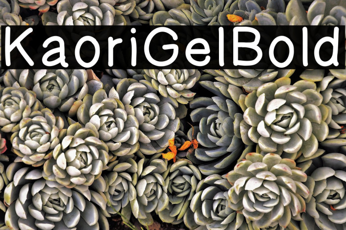 KaoriGelBold Font examples