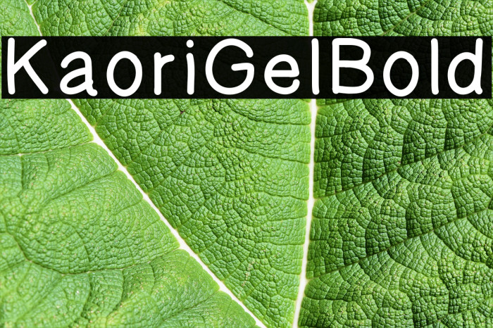 KaoriGelBold Font examples