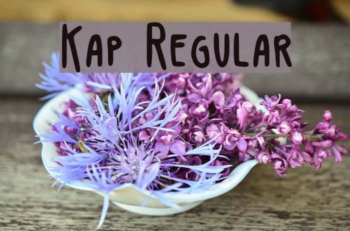 Kap Regular Font examples
