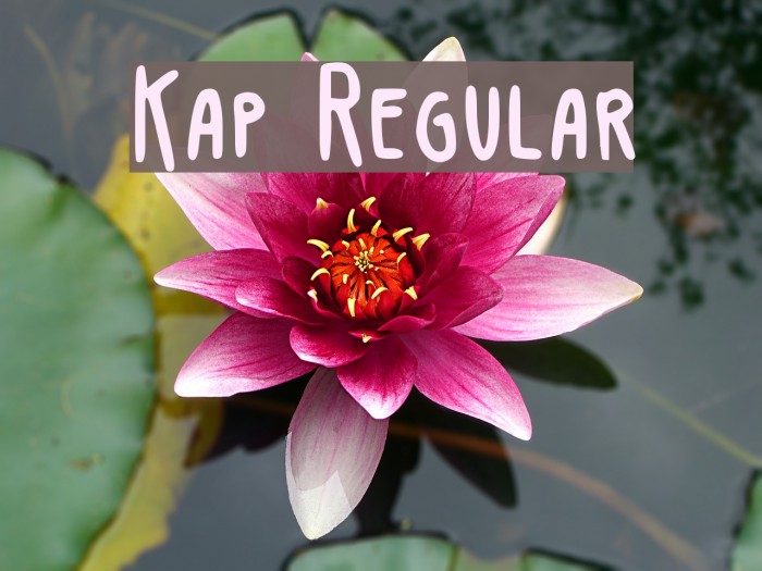 Kap Regular Font examples