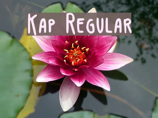Kap Regular Example 3