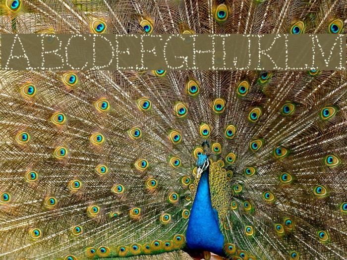 Kaplionixxaz Full_Done Example 2