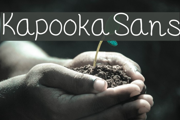 KapookaSans Font examples