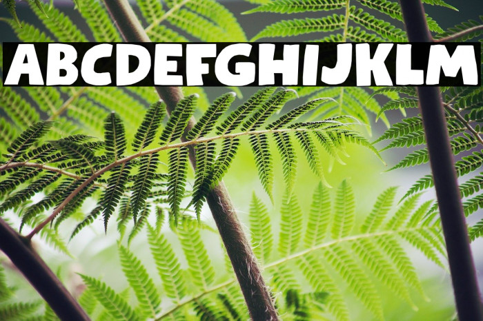 Kapsalon DEMO Regular Font examples