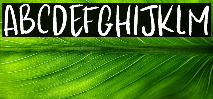 Kapsalon Pencil DEMO Regular Example 1