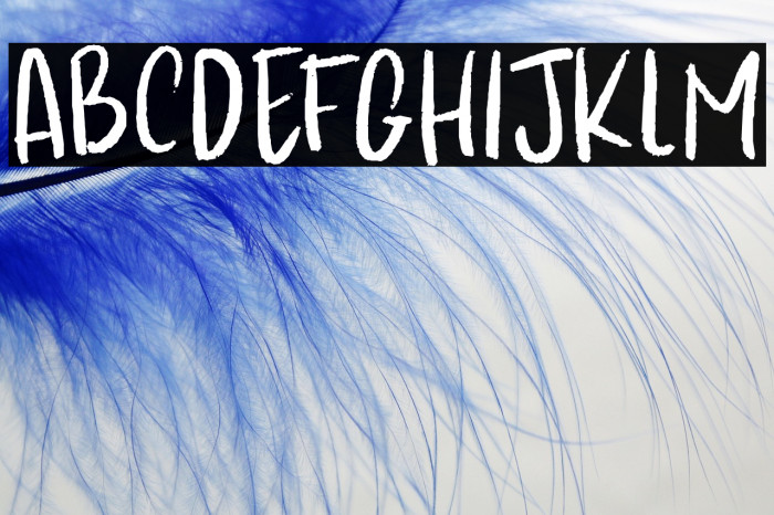 Kapsalon Pencil DEMO Regular Example 3