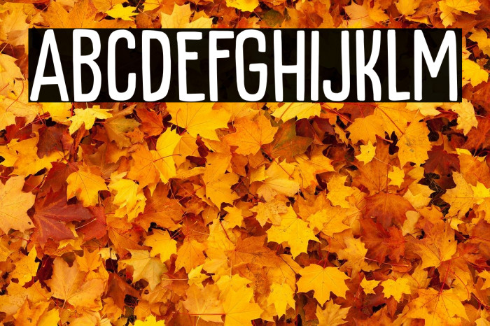 Kapsalon Print DEMO Regular Font examples