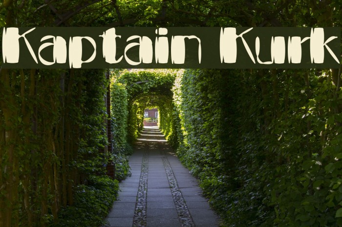 Kaptain Kurk Polices examples