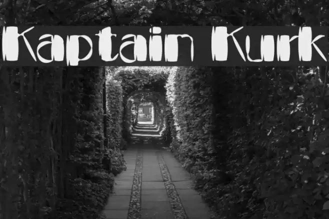 Kaptain Kurk Font examples
