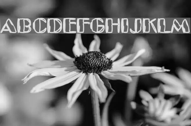 Kaptain Toupe Font examples