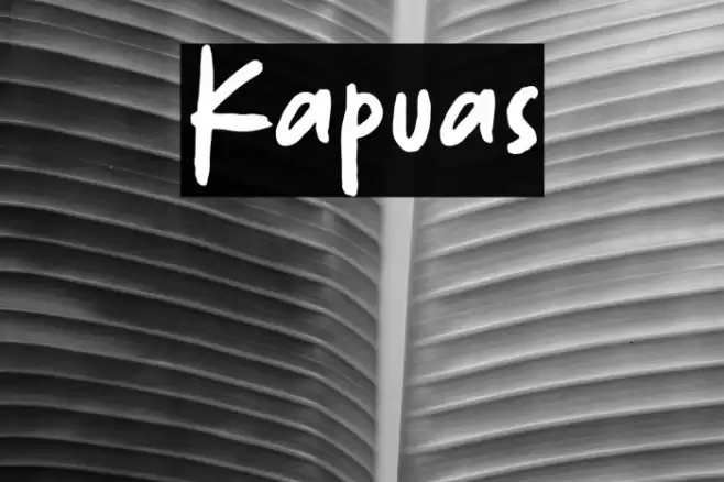 Kapuas Font examples