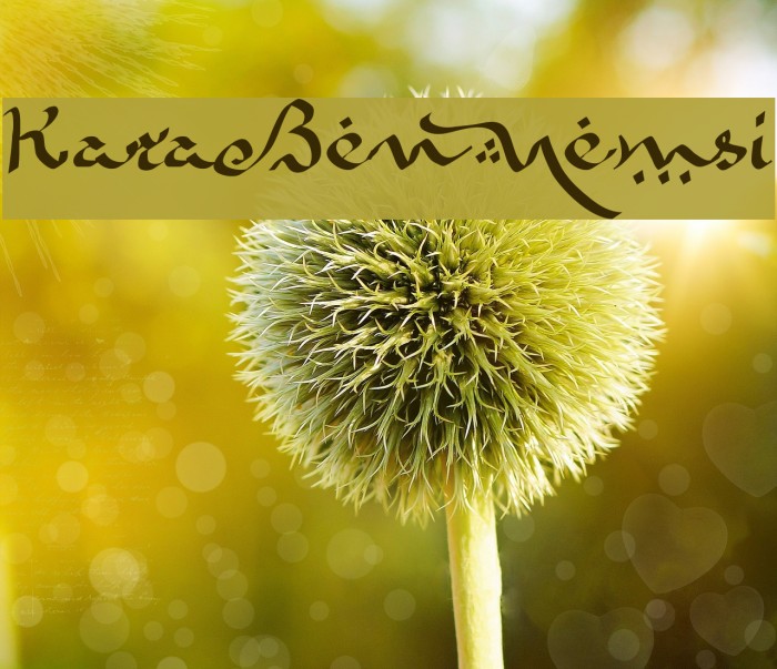 KaraBenNemsi Schriftart examples
