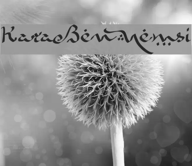 KaraBenNemsi Font examples