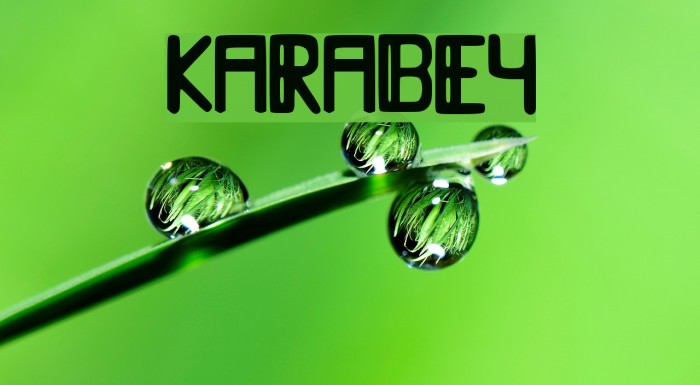 Karabey Example 3