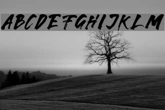 Karam-Italic Schriftart examples