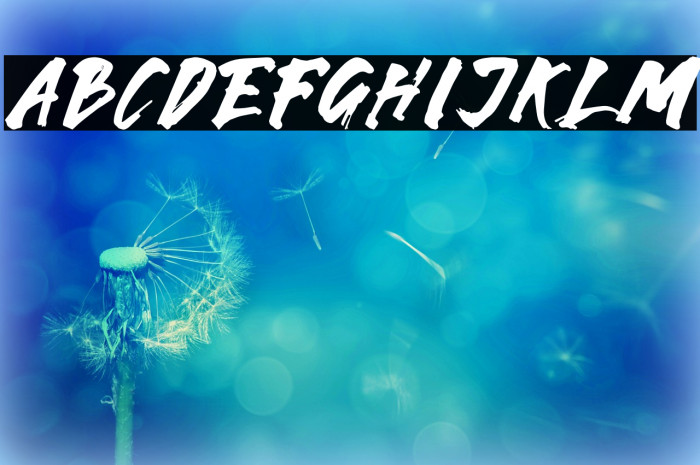 Karam Font examples
