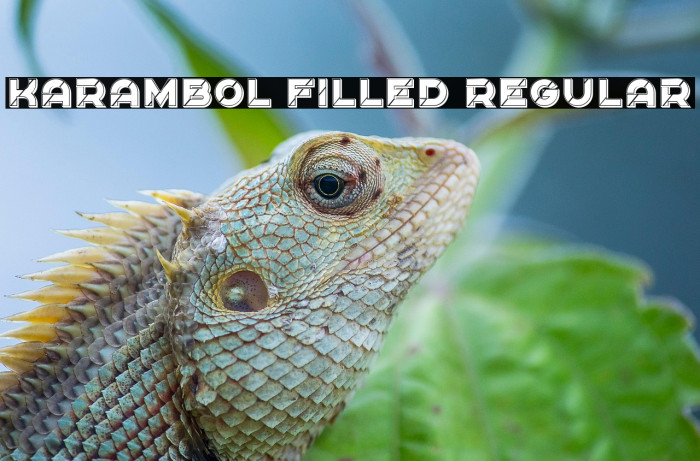 Karambol Filled Regular Example 1