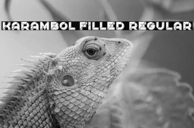 Karambol Filled Regular Font examples