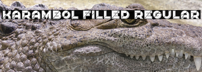 Karambol Filled Regular Example 2