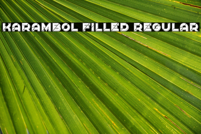 Karambol Filled Regular Example 3