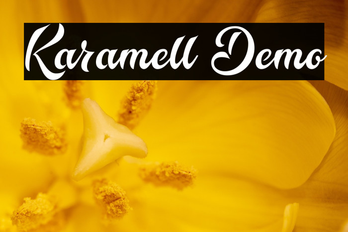 Karamell Demo Example 1
