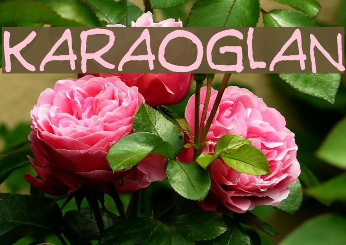 Karaoglan Font examples