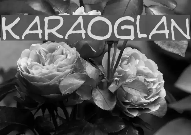 Karaoglan Font examples