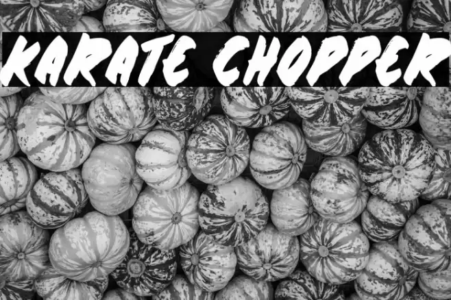 Karate Chopper Polices examples