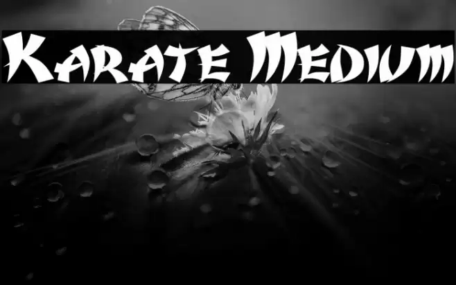 Karate Medium Font examples