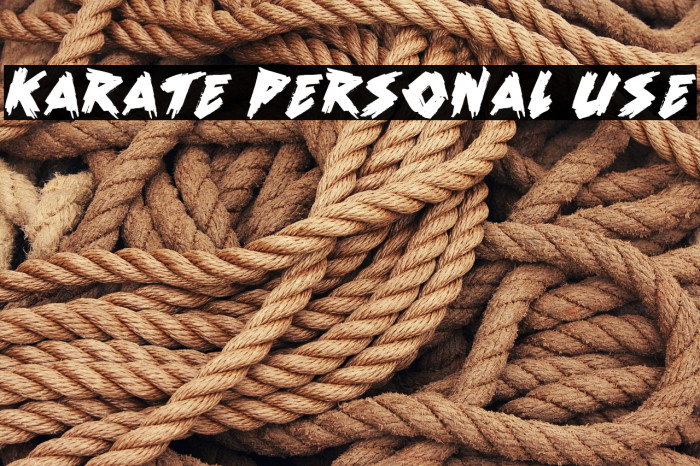 Karate Personal Use Example 2