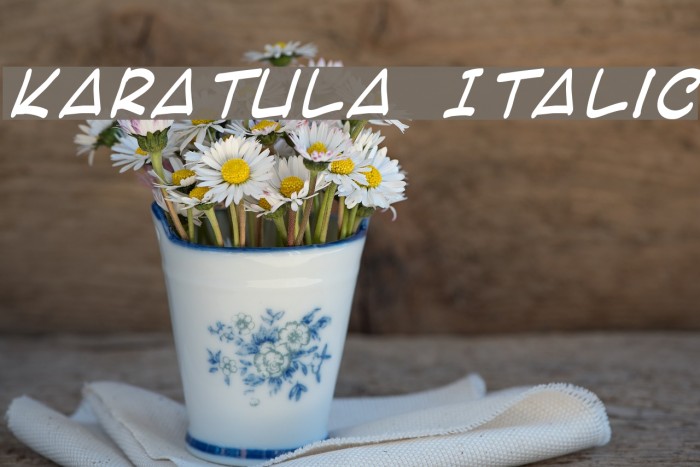 Karatula Italic Font examples